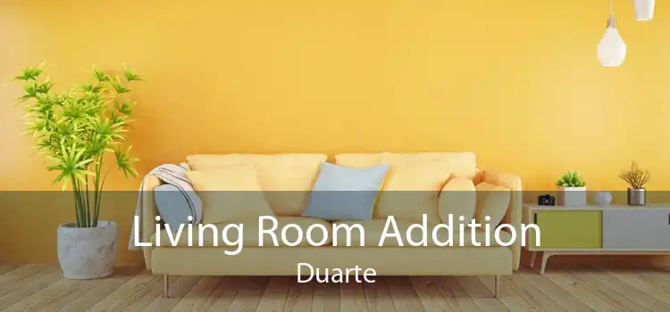 Living Room Addition Duarte